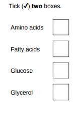 <p>Fatty acids and glycerol</p>