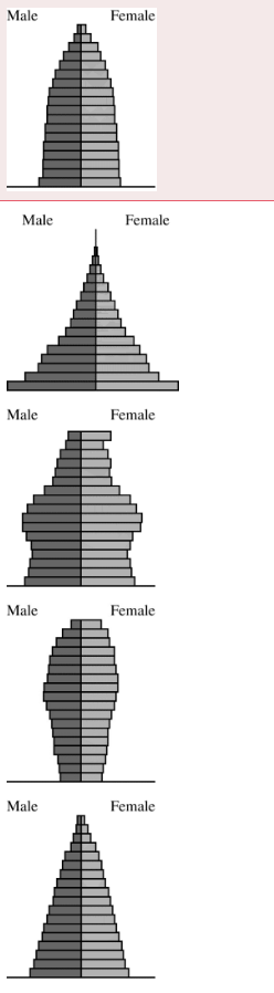 <p>Which of the following age structure diagrams represents a population that most likely has a negative growth rate?</p>