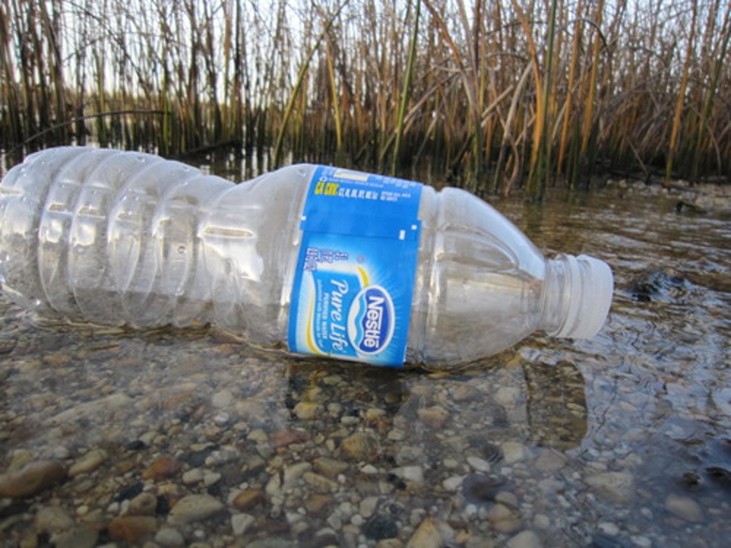 <p>1972</p><p>Renamed Clean Water Act when amended in 1977</p><p>With Water Quality Act of 1987, it forms basis of legal efforts to control water pollution</p><p>Amended in 1981 and 1987</p>