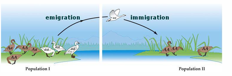 <p>Emigration</p>