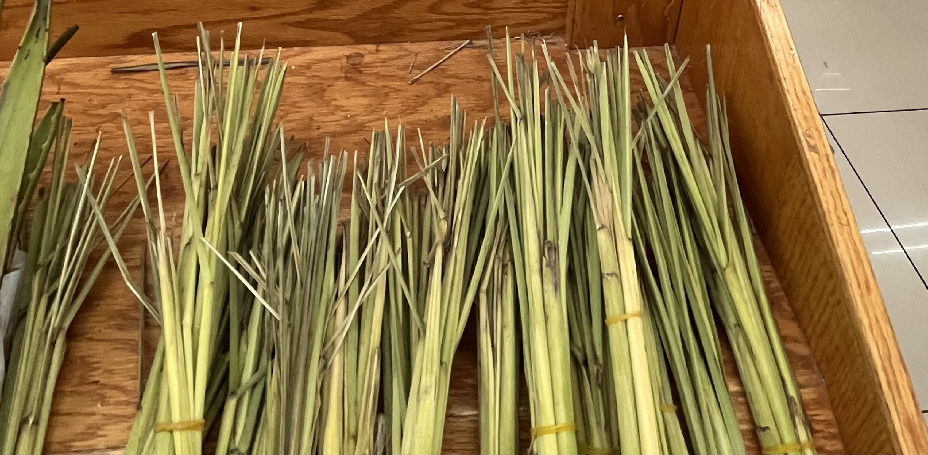 <p>LEMON GRASS</p>