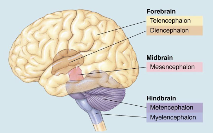 <p>Name each component </p>