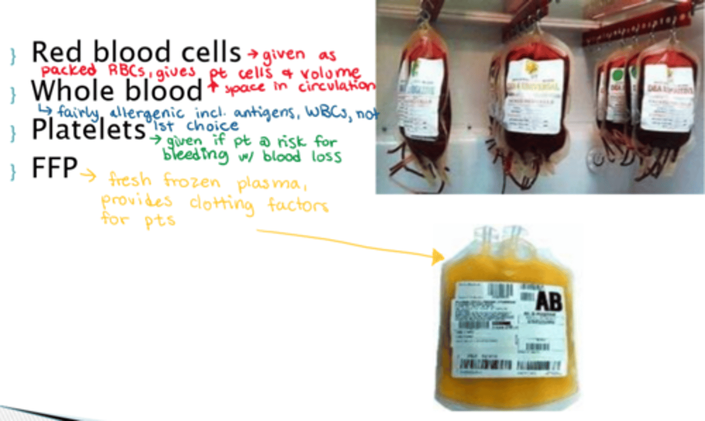 <p>- red blood cells</p><p>- whole blood (allergenic risk - antigens/WBC present)</p><p>- platelets</p><p>- FFP (fresh frozen plasma - provides clotting factors for pts)</p>