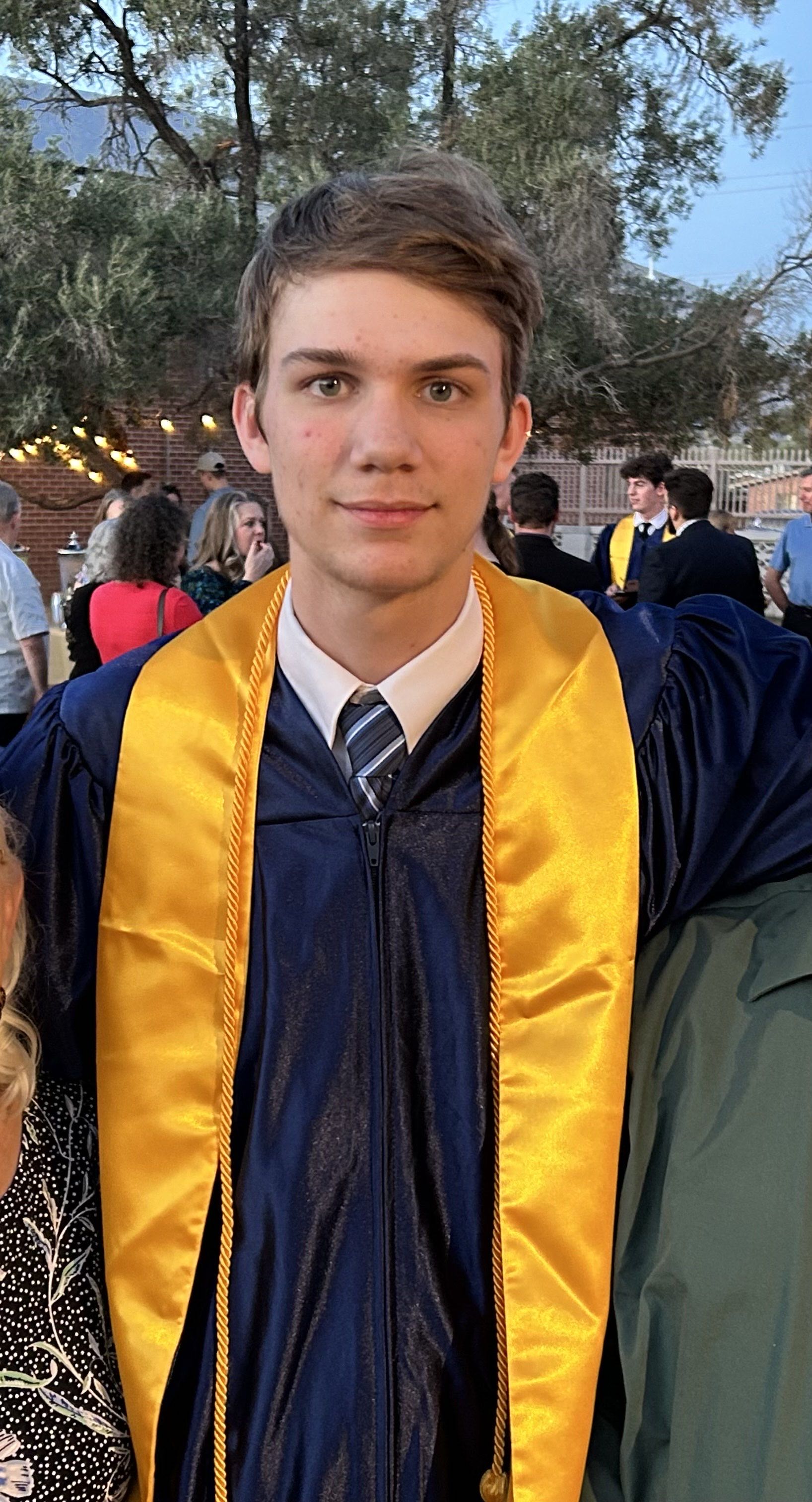 term image