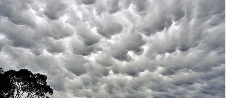 <p><span>Mammatus</span></p>