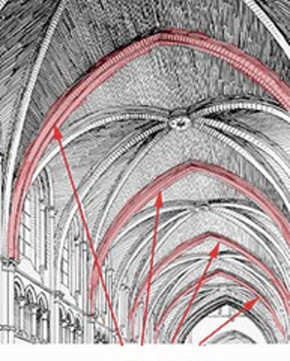 <p>a supporting arch that runs across the width of a vaulted bay, from one side to the other, to divide it from the next. In Gothic architecture, these arches, often paired with diagonal arches, form the skeletal framework of the ribbed vault, channeling the weight down to slender piers. This innovation allows for thinner vault shells and large expanses of wall space for stained glass windows.</p>