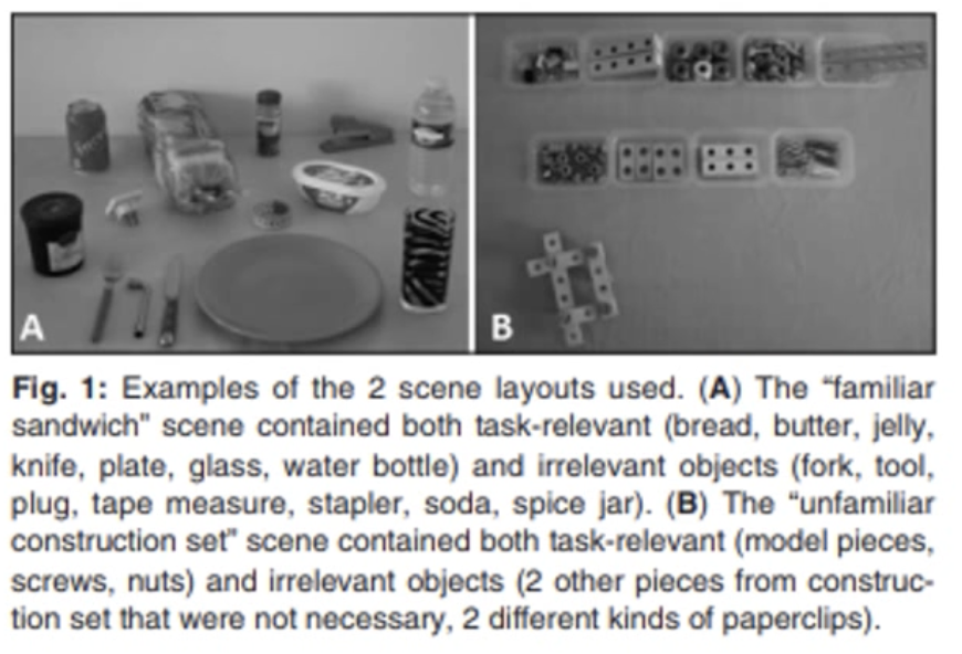 <p>Describe Delerue et al.’s (2013) study</p>