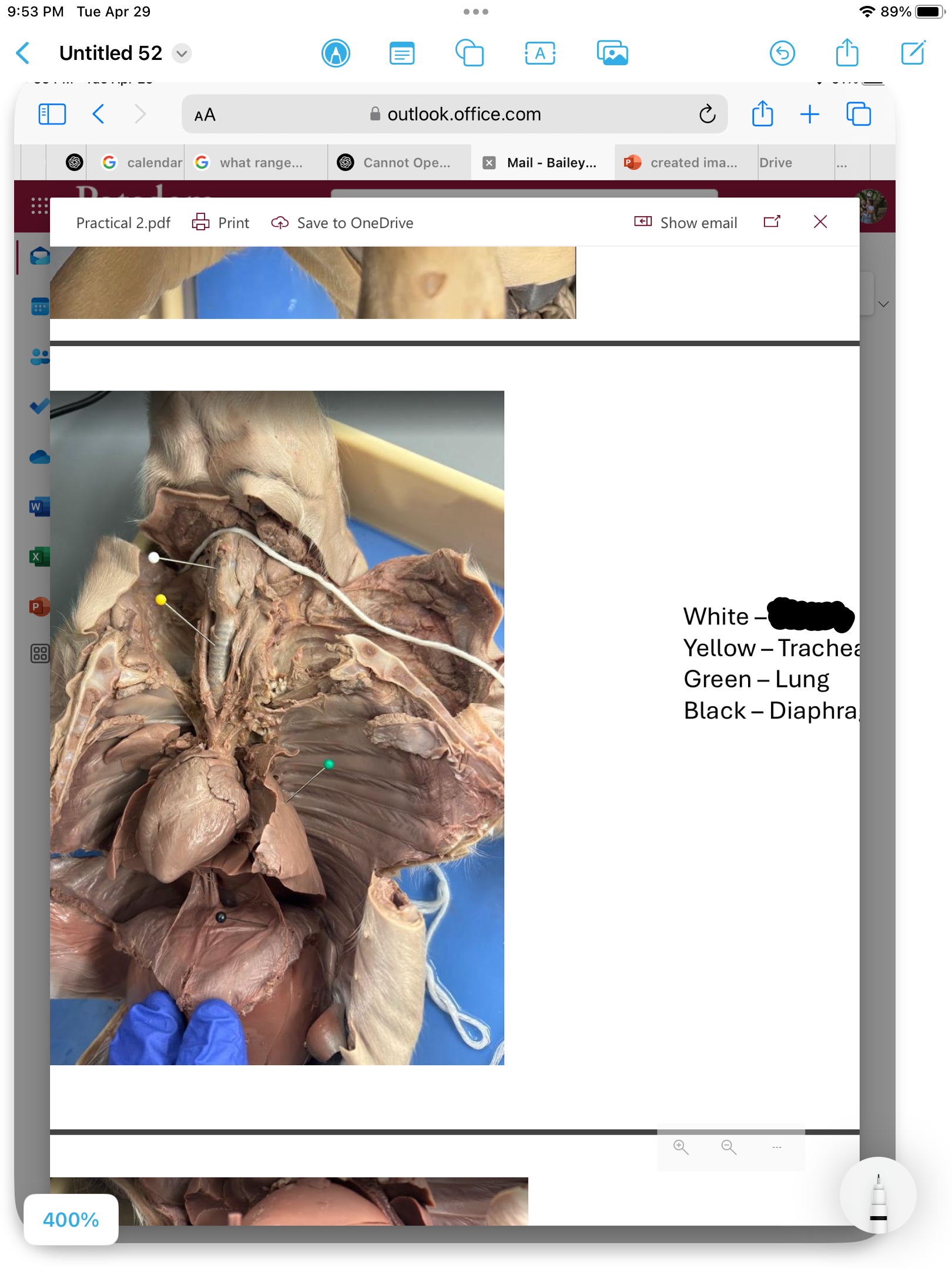 <p>label the area</p>