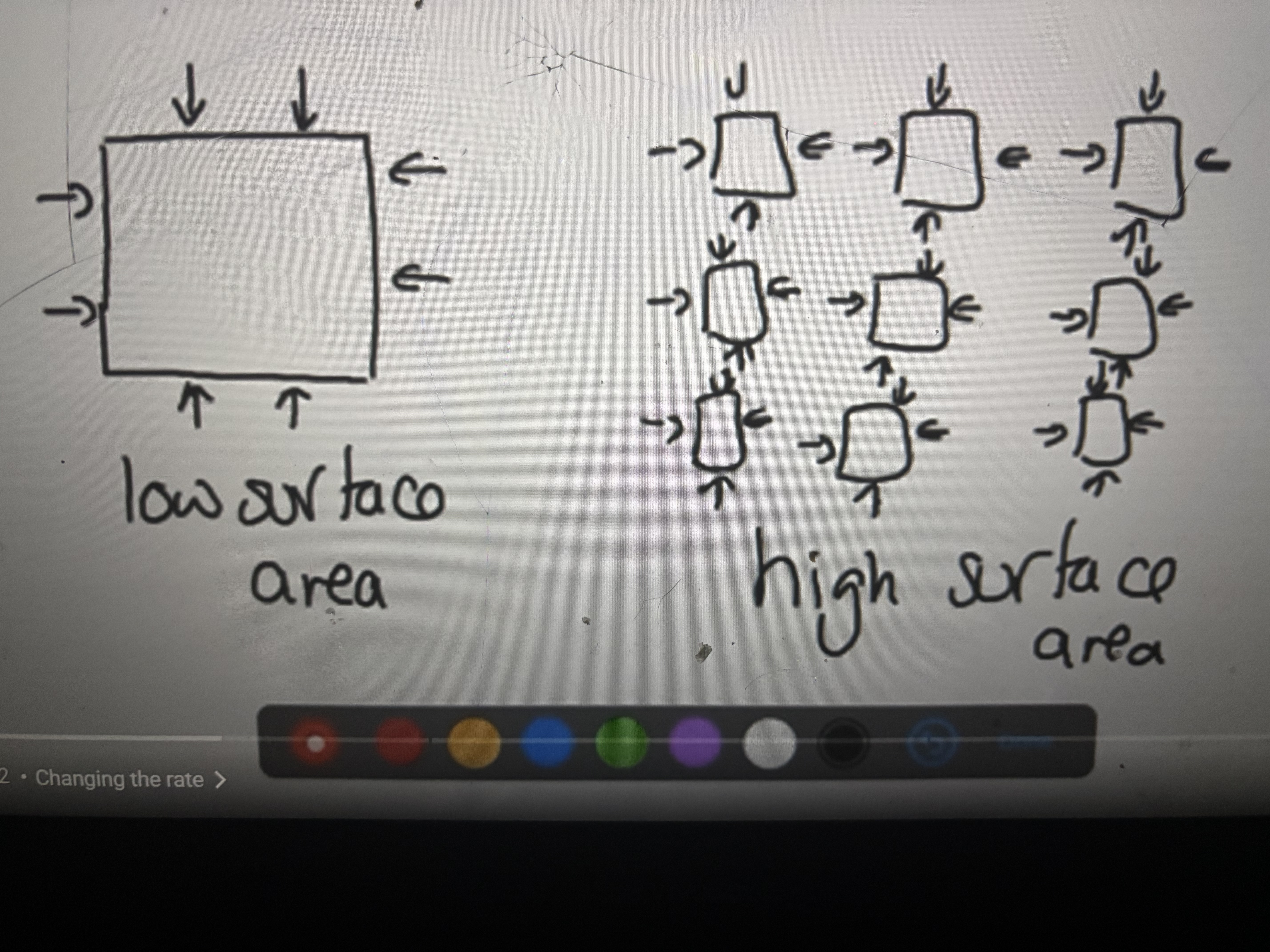 <p>Increasing surface area</p>