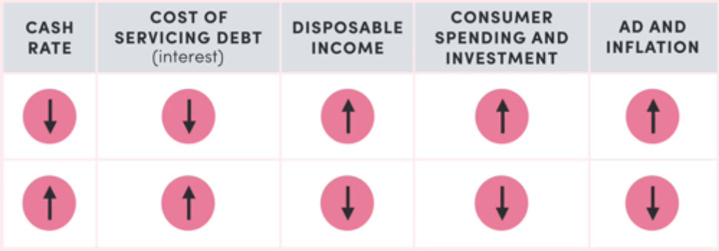 <p>Cash rate significantly influences the cash that consumers and firms have available</p>