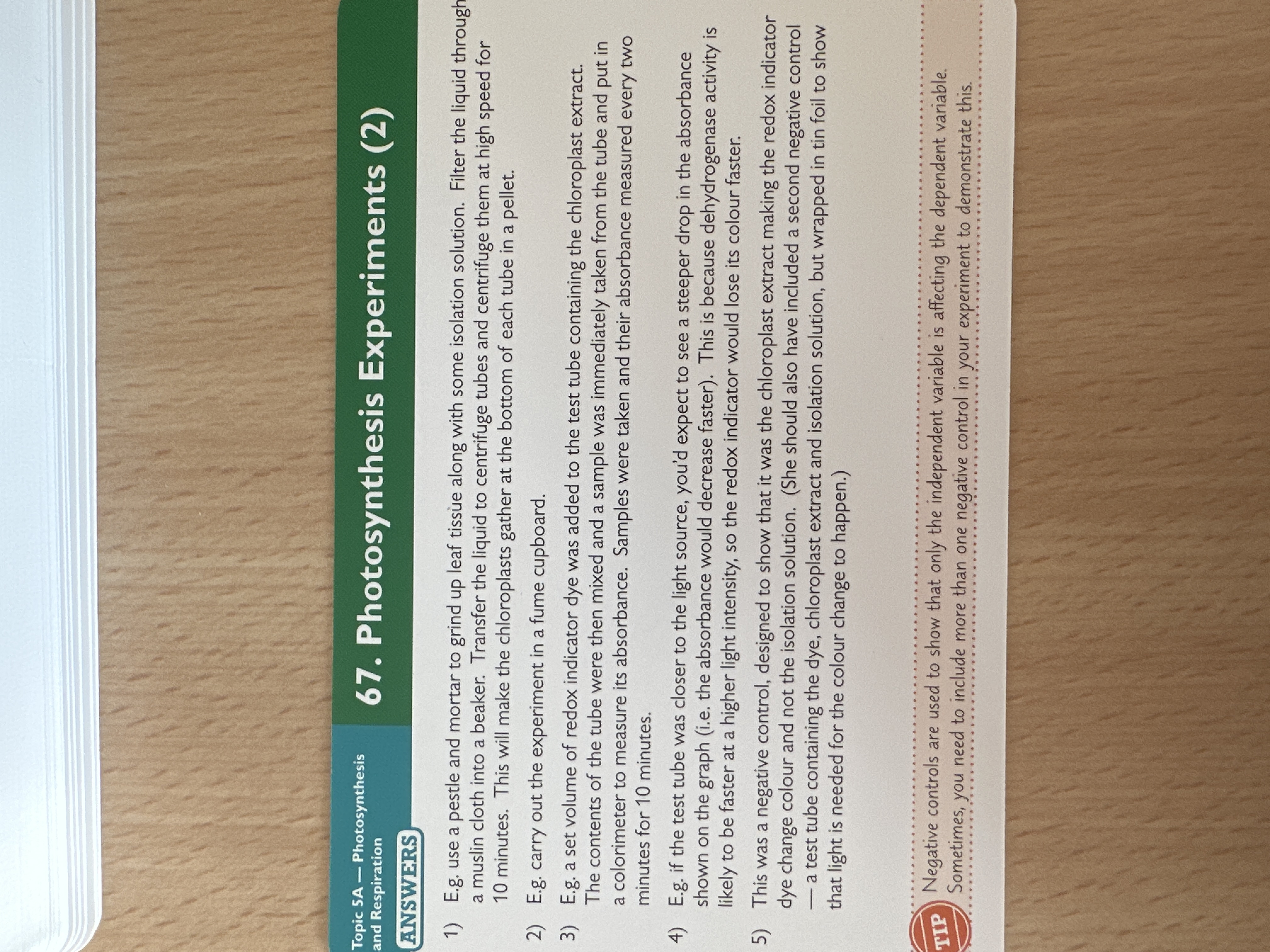 knowt flashcard image