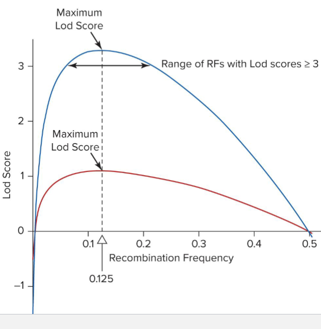 <ul><li><p>Relationship between Log Score and assumed RF</p><ul><li><p>Lod of 3 means log1000 so 1000x more likely to be linked than not</p></li></ul></li><li><p>Can add Lod scores from different pedigrees together to increase confidence</p><ul><li><p>RED: Lod score from Neurofibromatosis pedigree</p></li><li><p>BLUE: sum of Lod scores from 3 such pedigrees</p></li></ul></li></ul><p></p>