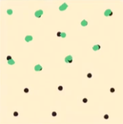 <p>what distribution is this?</p>