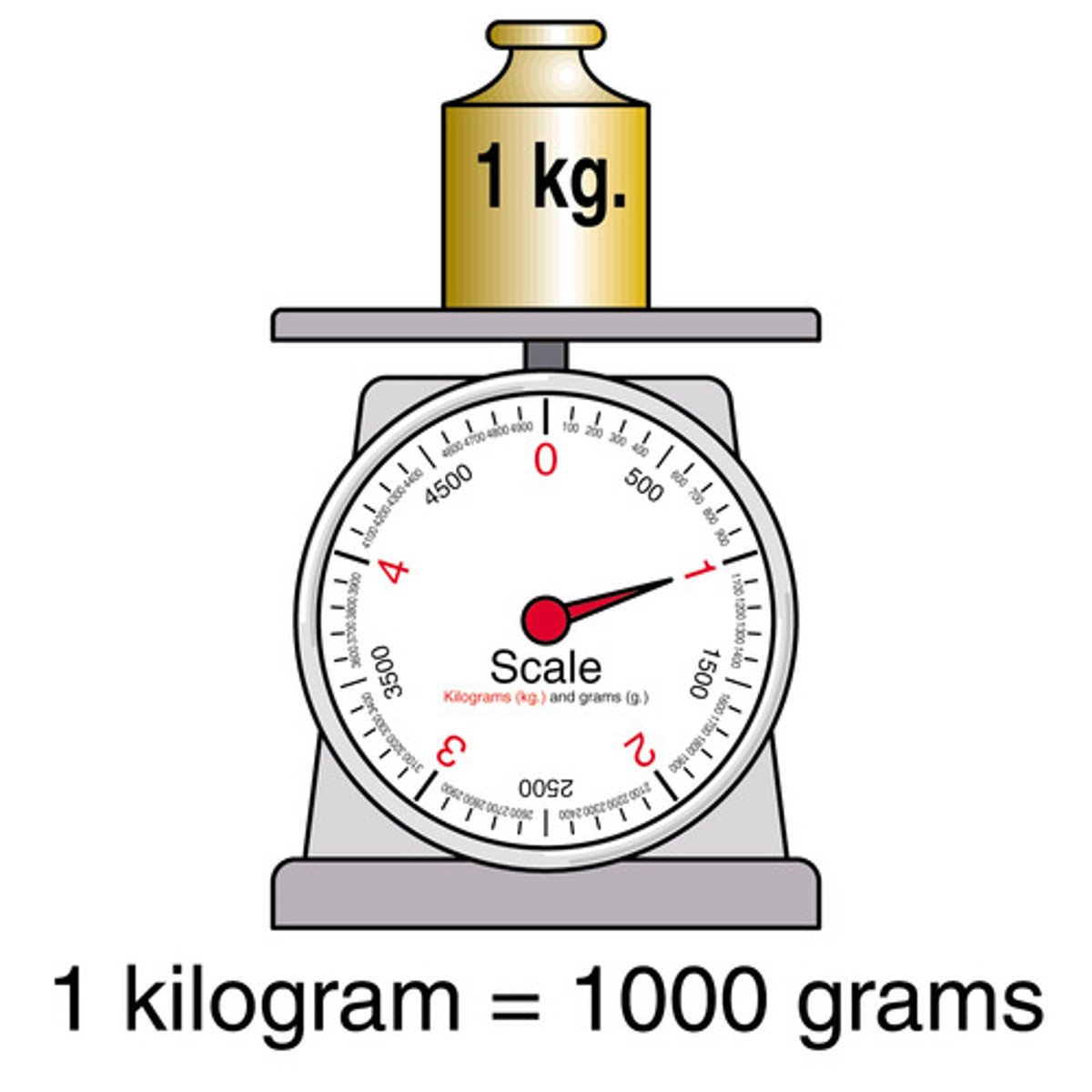 <p>1000g=1kg</p>