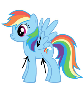 <p>Consider the arrows along the limbs of Rainbow Dash, what would be the best positional term?</p>