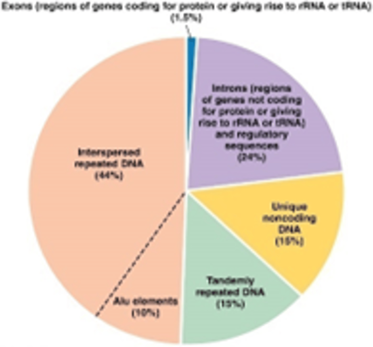 <p>humaan genoom bestaat uit ca. 3% DNA transposons en >40% retrotransposons</p><p>Retrotransposons zijn mobiele genetisch elementen dat zich kunnen verplaatsen in het genoom via replicatieve transpositie met een RNA intermediair als tussenstap</p>