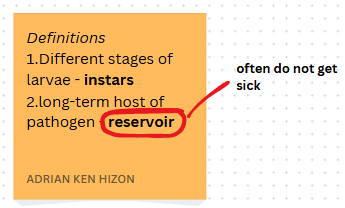 <p>reservoir</p>