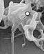 <p>What is the function of the thing shown in the picture?</p>
