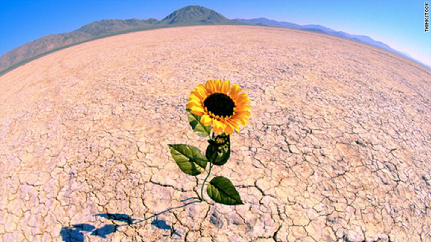 <p>the personal strength that helps most people cope with stress and recover from adversity and even trauma</p>