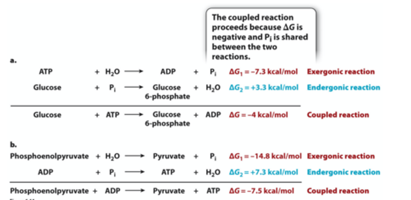 <p>Non-spontaneous reactions are often coupled to spontaneous reactions: Coupled Reactions</p>