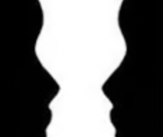 the organization of the visual field into objects (the figures) that stand out from their surroundings (the ground).
