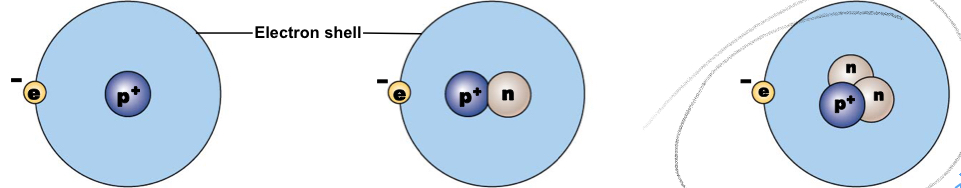 <p>Nucleus contains a proton and two neutrons, mass number: 2</p>