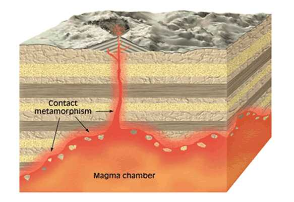 <ul><li><p><strong>Cause</strong>: Heat from a nearby magma intrusion alters surrounding rock.</p></li><li><p><strong>Pressure</strong>: Low (not associated with deep burial).</p></li><li><p><strong>Depth</strong>: Shallow (upper crust, near plutons).</p></li><li><p><strong>Temperature</strong>: High (~300–800°C).</p></li><li><p><strong>Rock Texture</strong>: <strong>Non-foliated</strong> due to low pressure.</p></li><li><p><strong>Common Rocks</strong>:</p><ul><li><p><strong>Marble</strong> (from limestone).</p></li><li><p><strong>Quartzite</strong> (from sandstone). </p></li></ul></li></ul><p></p>