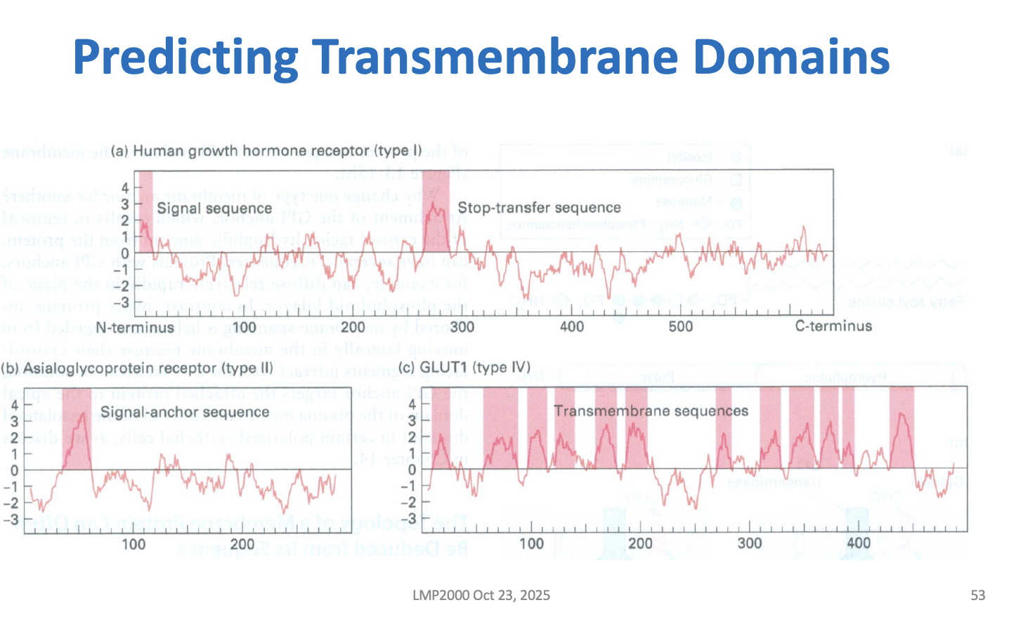 <p>when hes showing you this slide, what is he referring to, Iike what are you predicting? </p>