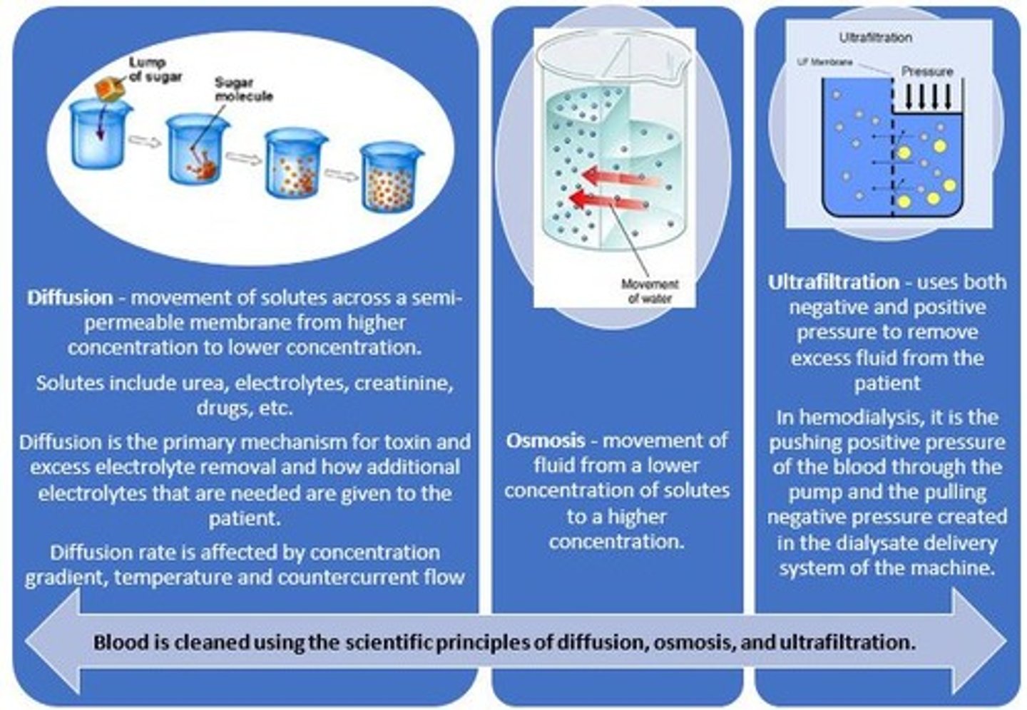 <p>Movement of solutes through a semipermeable membrane from an area of greater concentration to an area of lesser concentration.</p>