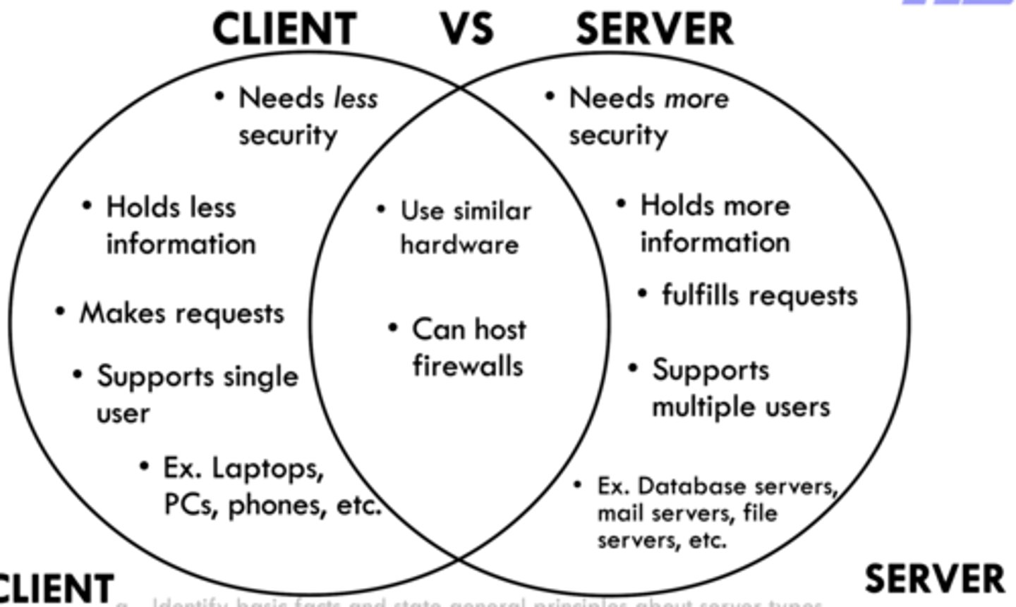 <p>Needs more security, holds more information, fulfills requests, and supports multiple users. Similar hardware as client and can host firewalls.</p><p>E.g.: database servers, mail servers, file servers, etc.</p>