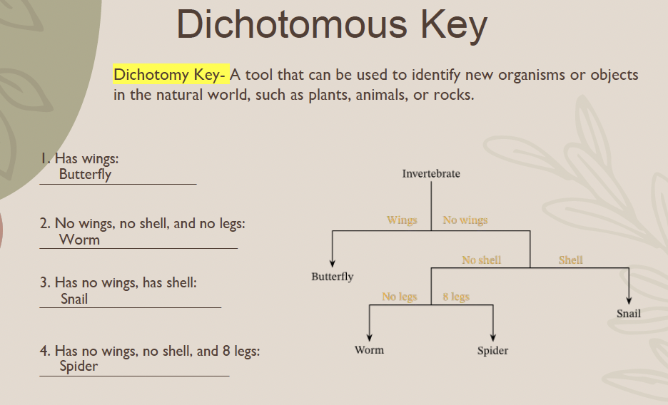 <p>A tool that can be used to identify new organisms or objects in the natural world, such as plants, animals, or rocks.</p>