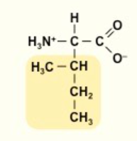 <p>I</p><p>nonpolar</p><p></p>