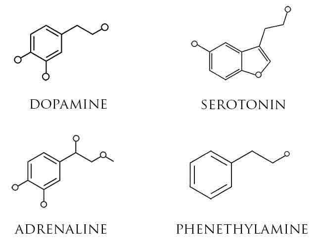 <p>MOLECULE 2</p>