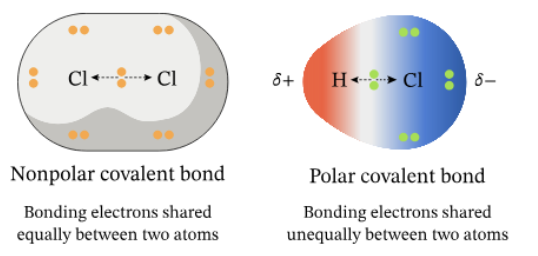 figure it out, polar vs nonpolar. the polar covalent is what's in WATER.