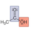 <p>Identify this structure:</p>
