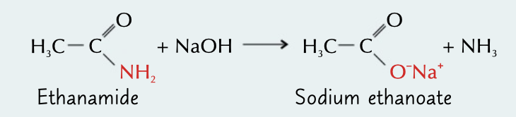 <p>conditions amide heated with to produce a carboxylate ions and ammonia gas</p>