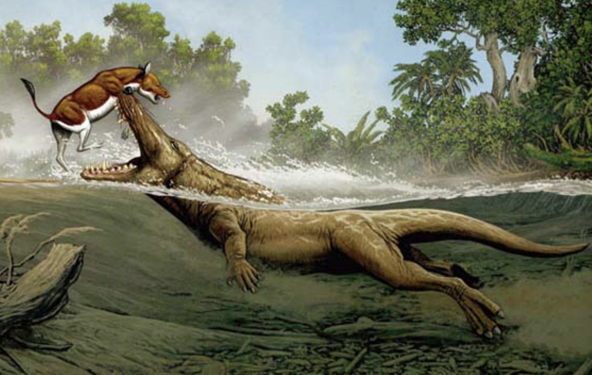 <p>Cenozoic beast</p>