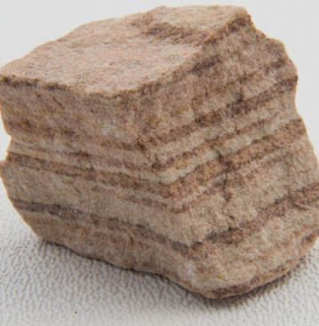 <p>Sedimentary</p>