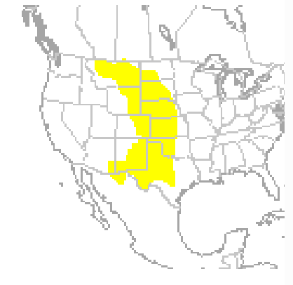 <p>Which species fits the following habitat and management concerns?</p><p><br>Habitat: Temperate grasslands with well drained soils</p><p>Management issues: Provide fertilization and create optimal growing conditions for grassland plants - benefits domestic cattle, horses, bison, and pronghorns grazing in those areas; historically considered pests - destroy crops, burrow systems may be hazard for livestock</p>