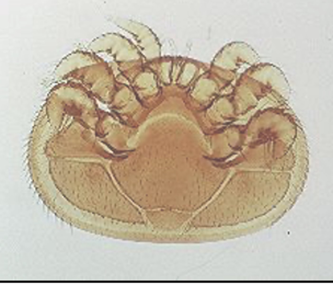 <p>?</p>