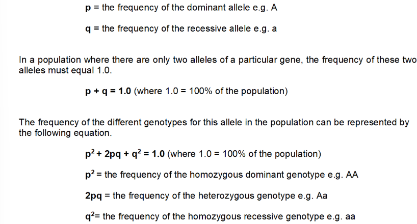 <p>p = dominant</p><p>q = recessive</p><p>p+q=1</p><p>p<sup>2</sup>+2pq+q<sup>2</sup>=1</p>