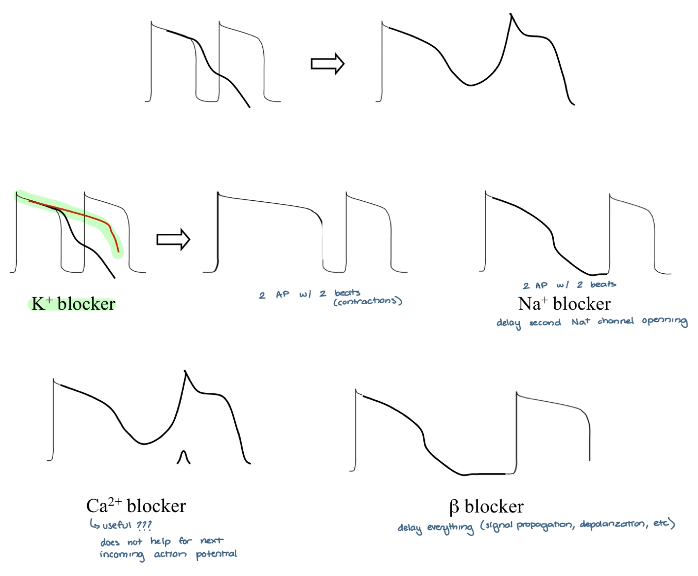 <p><span>K+ blocker, Na+ blocker, B-blocker</span></p>