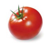 <p>tomato</p>