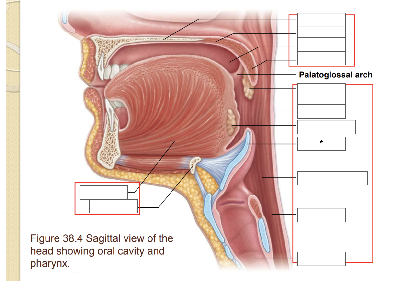 term image