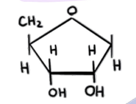 <p>what is this</p>