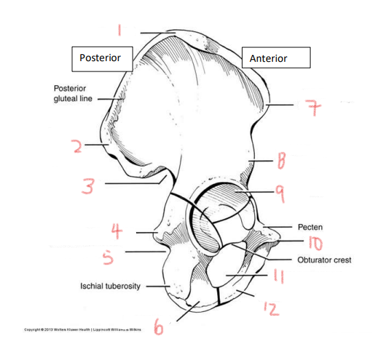 <p>6</p>