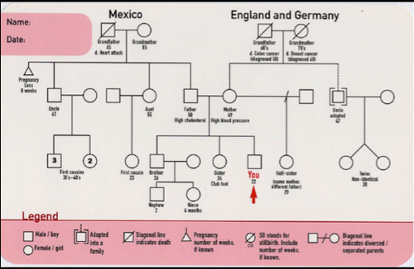 <p>A family diagram that depicts each member of the family and shows connections between the generations.</p>