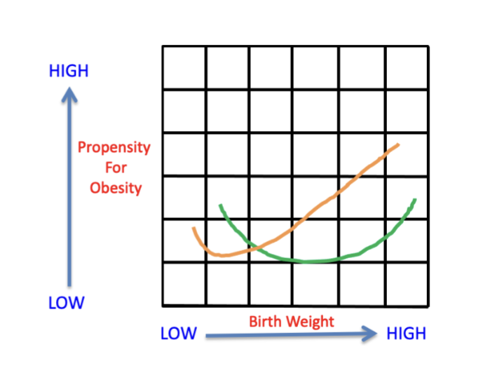 <p>What is the J or U-shaped curve of birth weight is a marker of what?</p>
