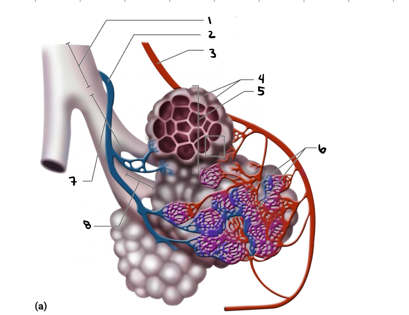 <p>4</p>