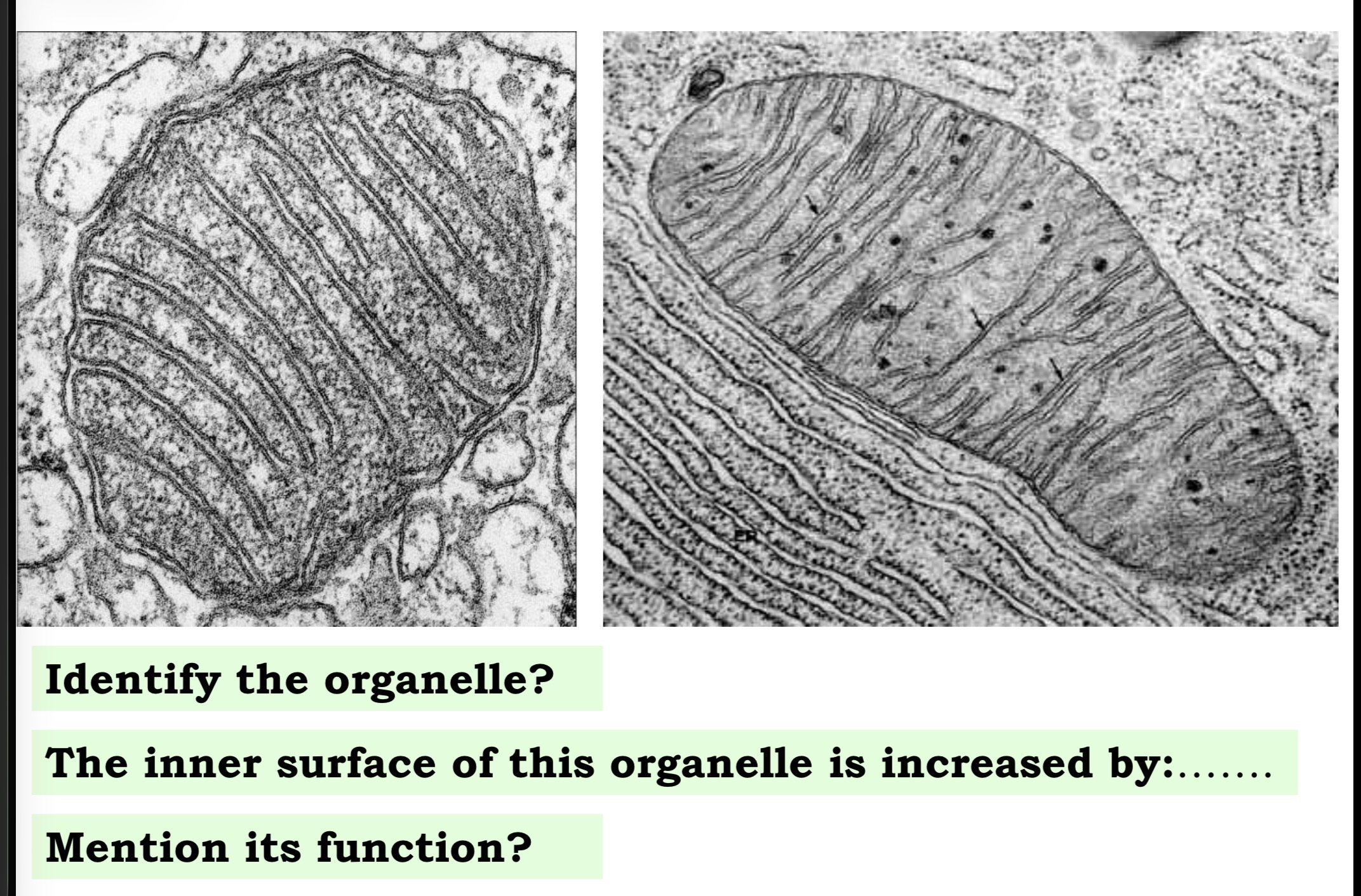 <p>Answer the questions in these following pictures</p>
